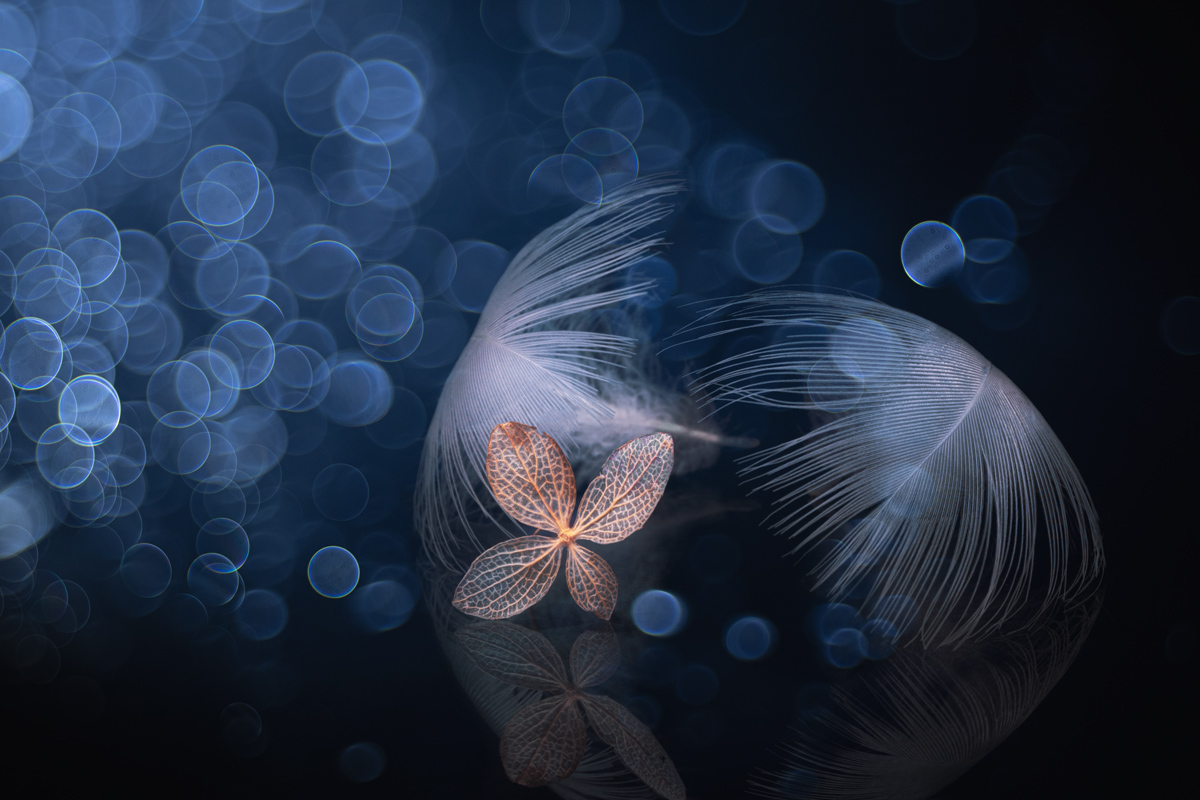 Unpretentious silence