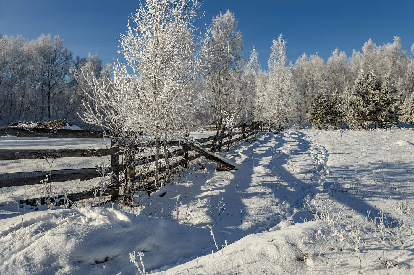 Letzte Tage des Herbstes