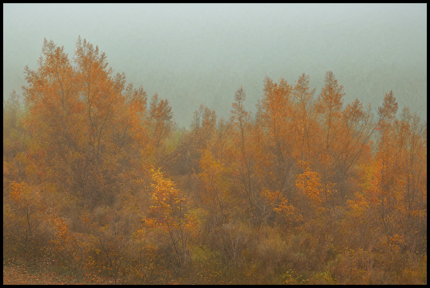 Herbstnebel