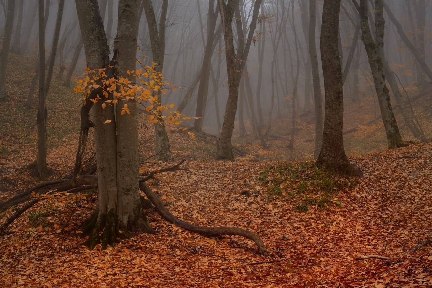 Sonnenaufgang über dem Fluss