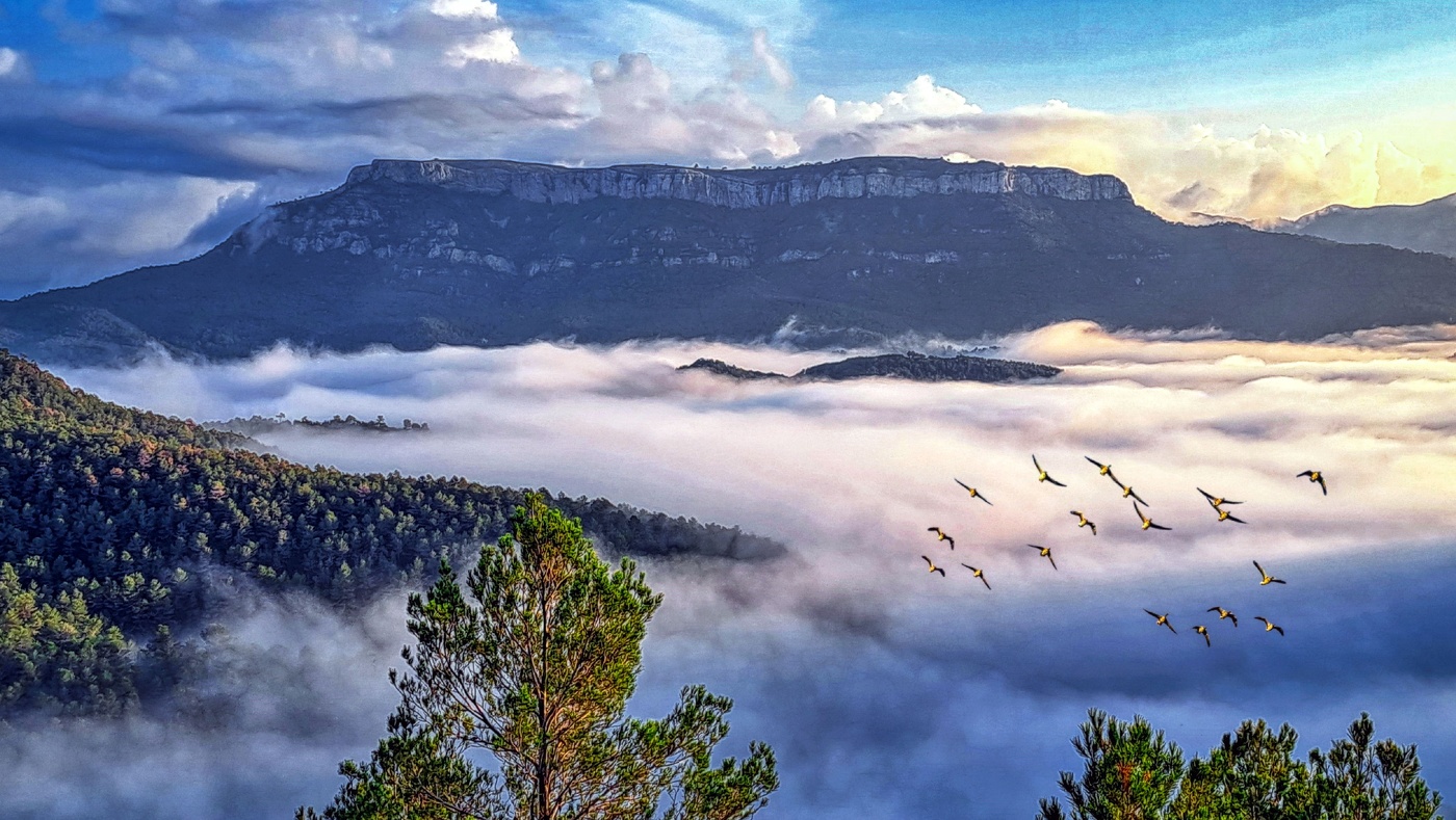 Pradell de la Teixeta - Coll Teixeta (La Mola al fons) - Priorat