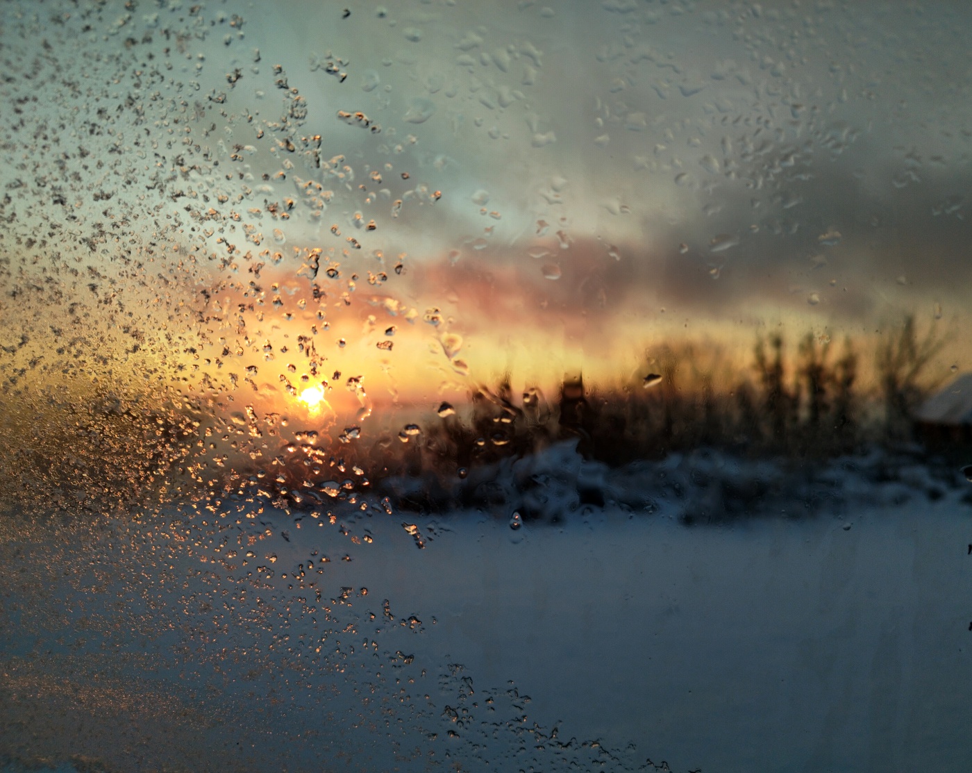 Sonnenaufgang im Wald