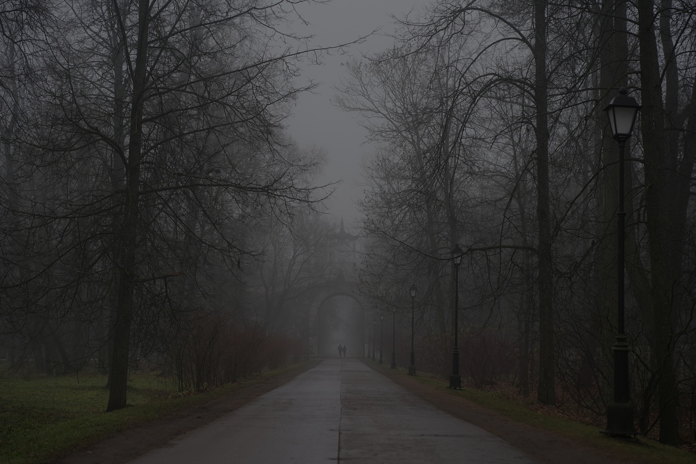 Gehen Sie im November