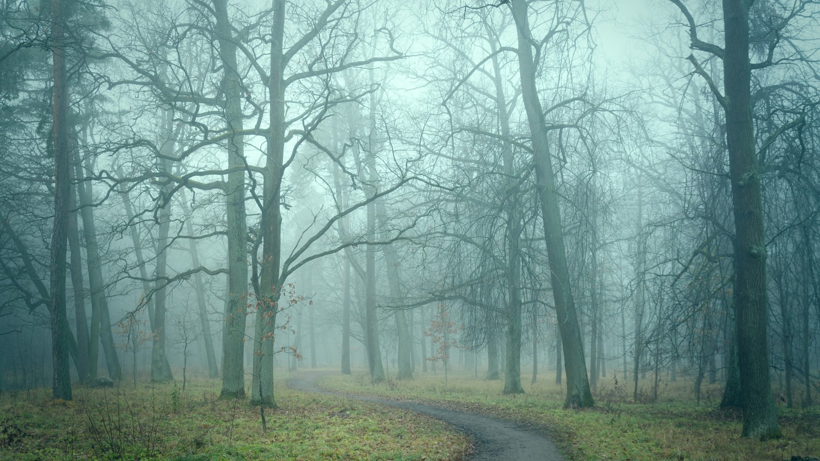 Spaziergang im Nebel