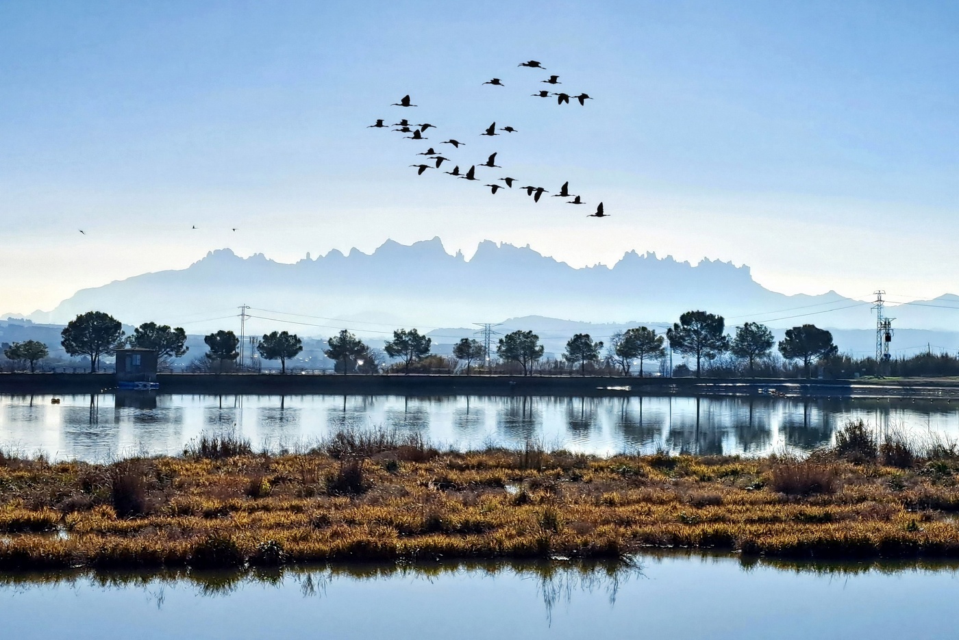 Manresa - Parc de l'Agulla (Montserrat al fons) - Bages
