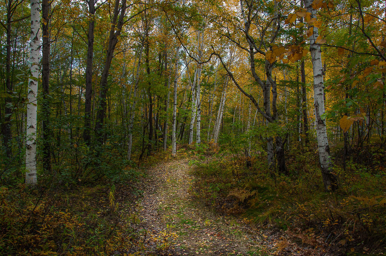 Herbst ...