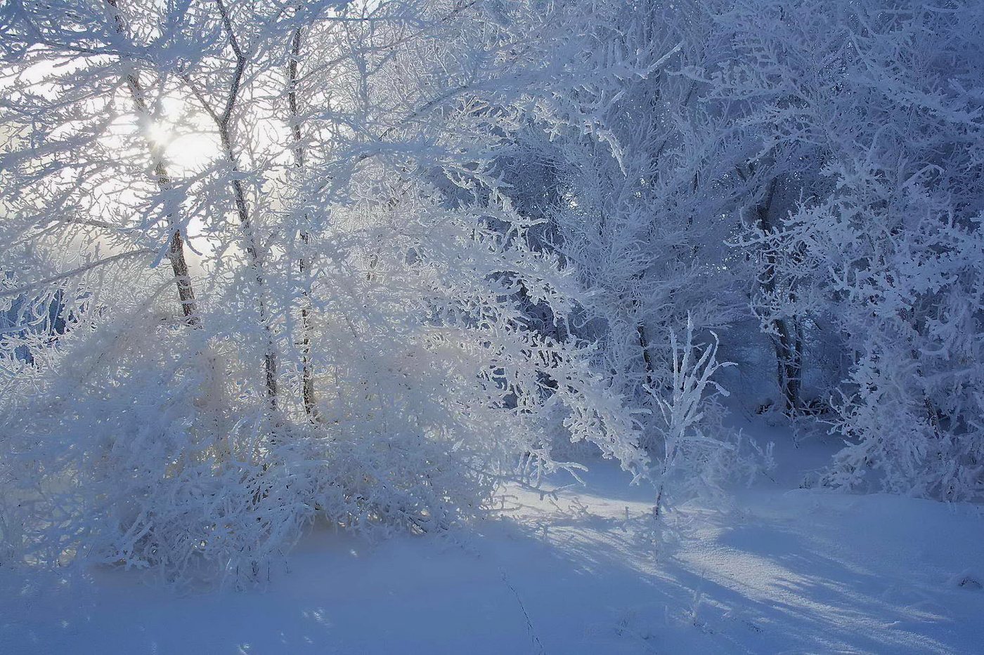 Morgen des neuen Jahres