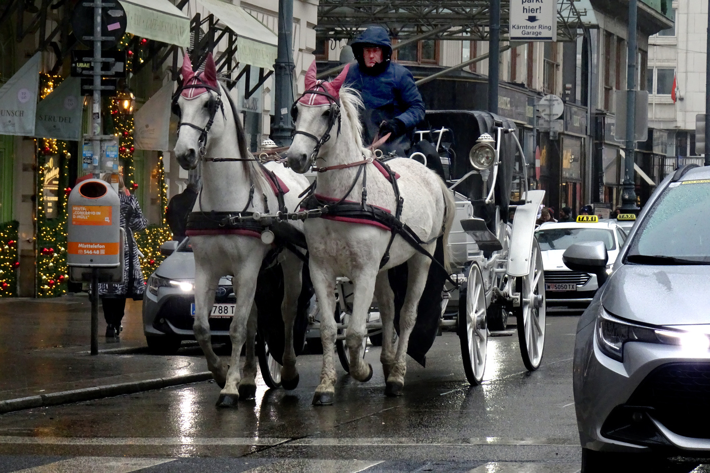 From the street on Vienna.