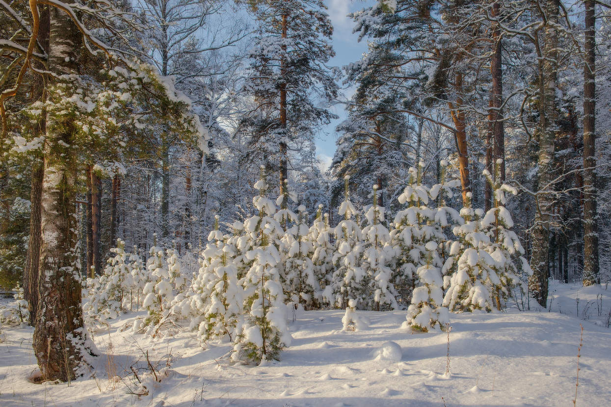 An einem sonnigen Tag