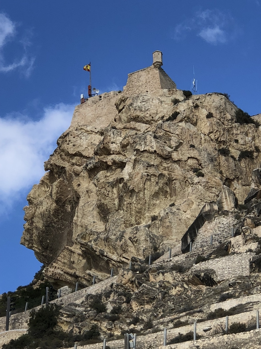 The face of the Moor