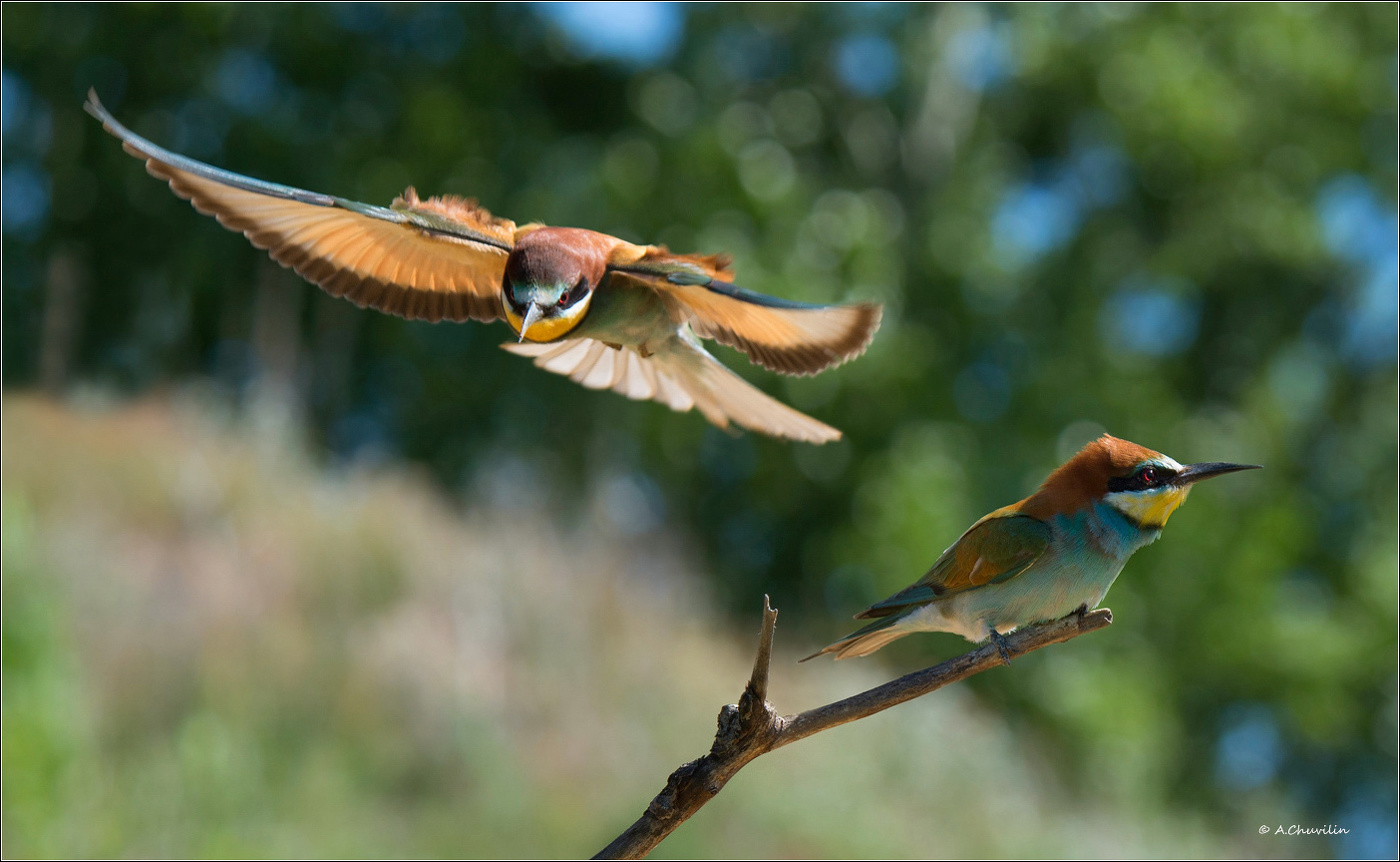 Mit vorgehaltener Waffe