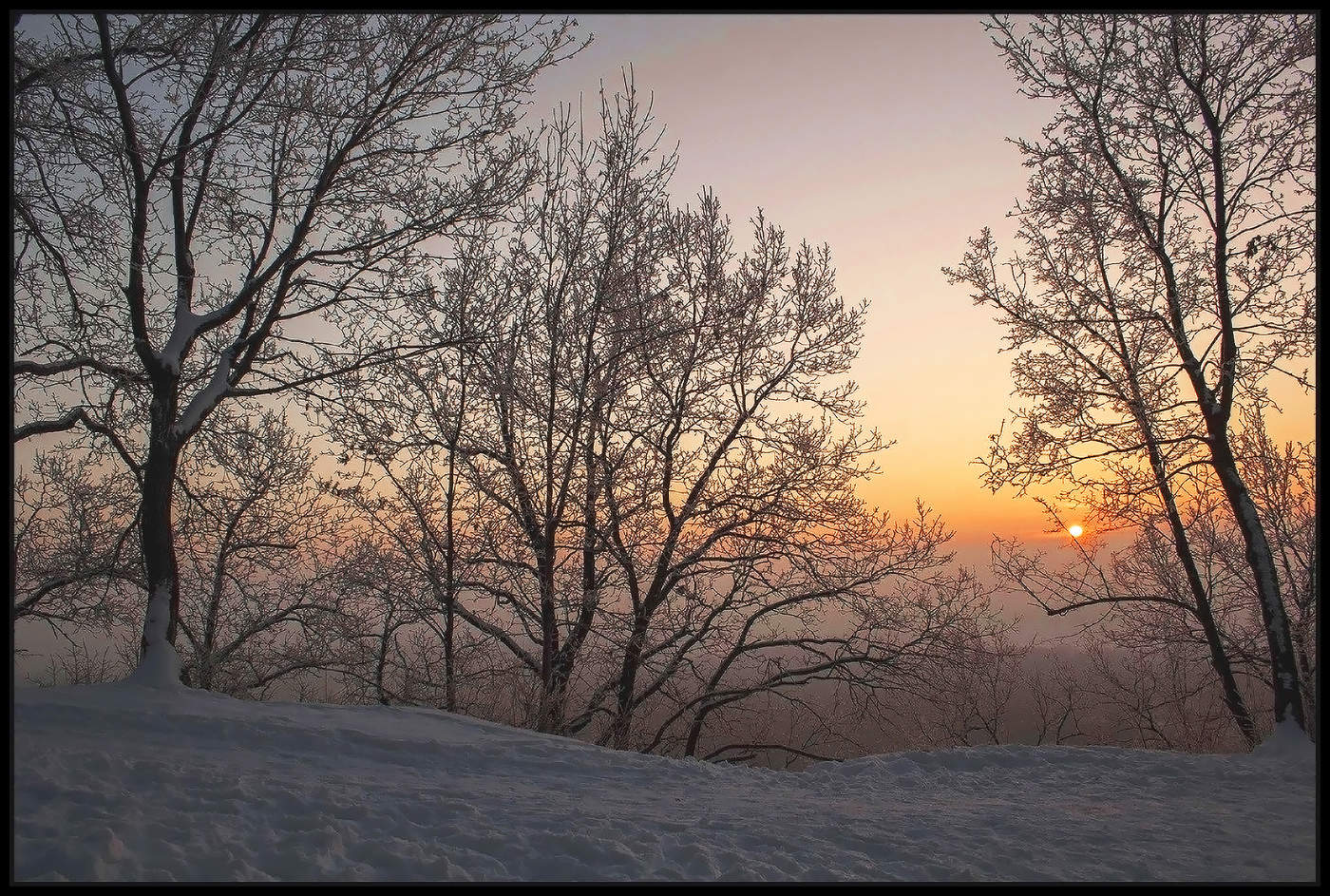 Sonnenaufgang im Wald