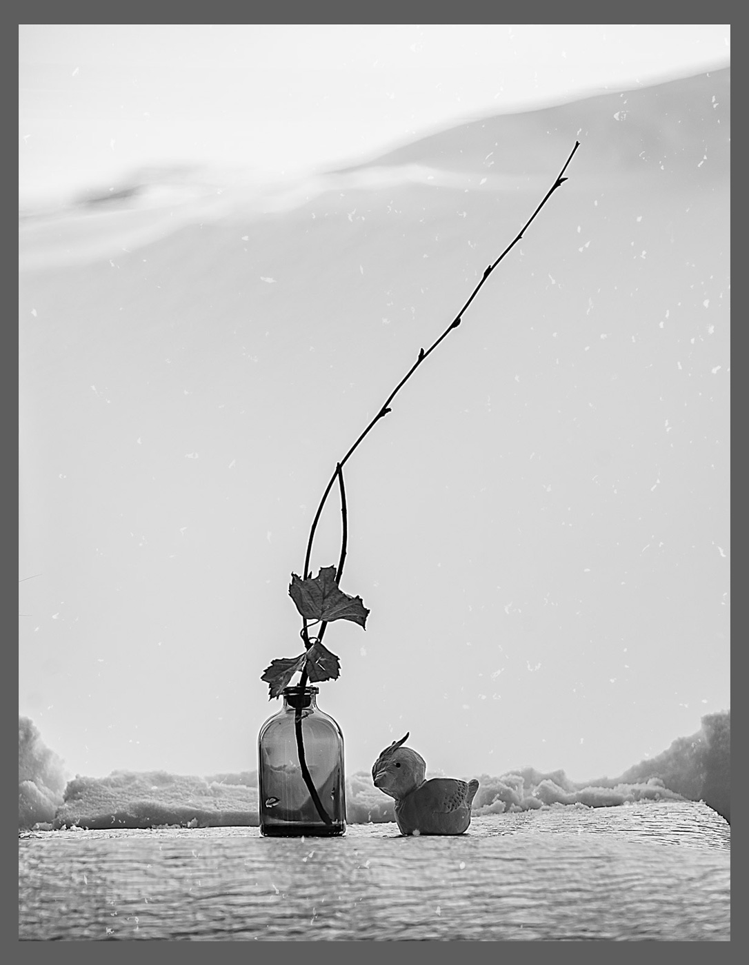 Warten auf den Frühling