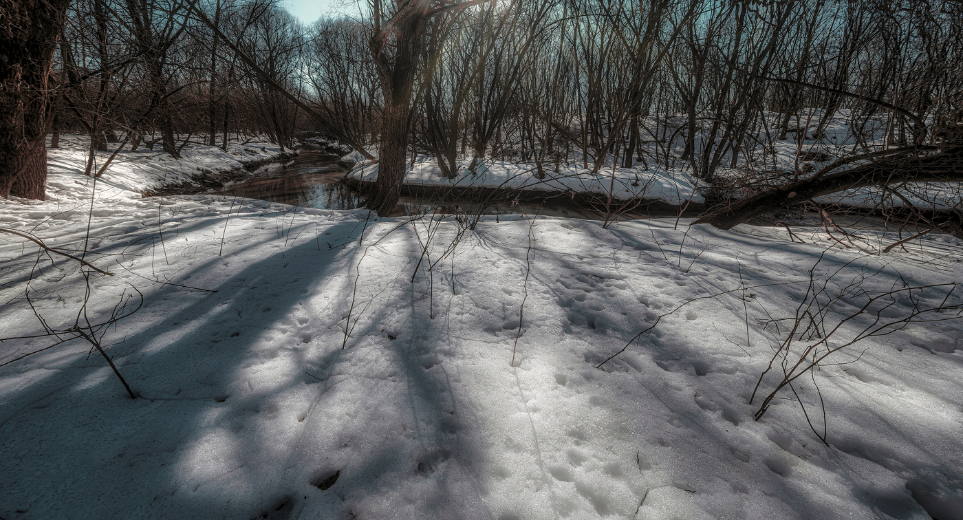 Der Frühling kommt.