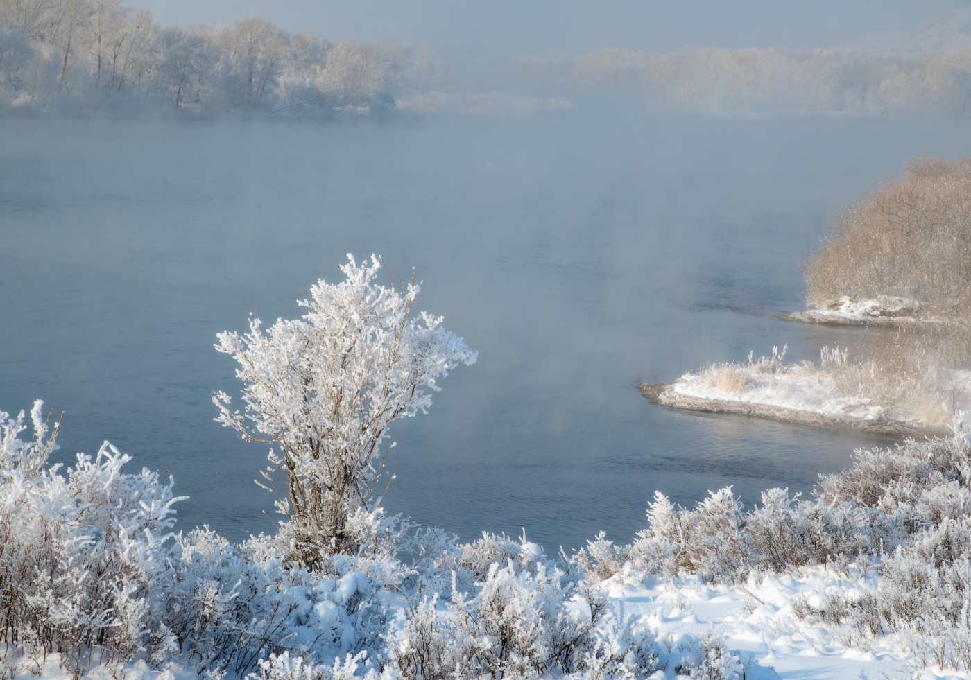 In der frostigen Nebel