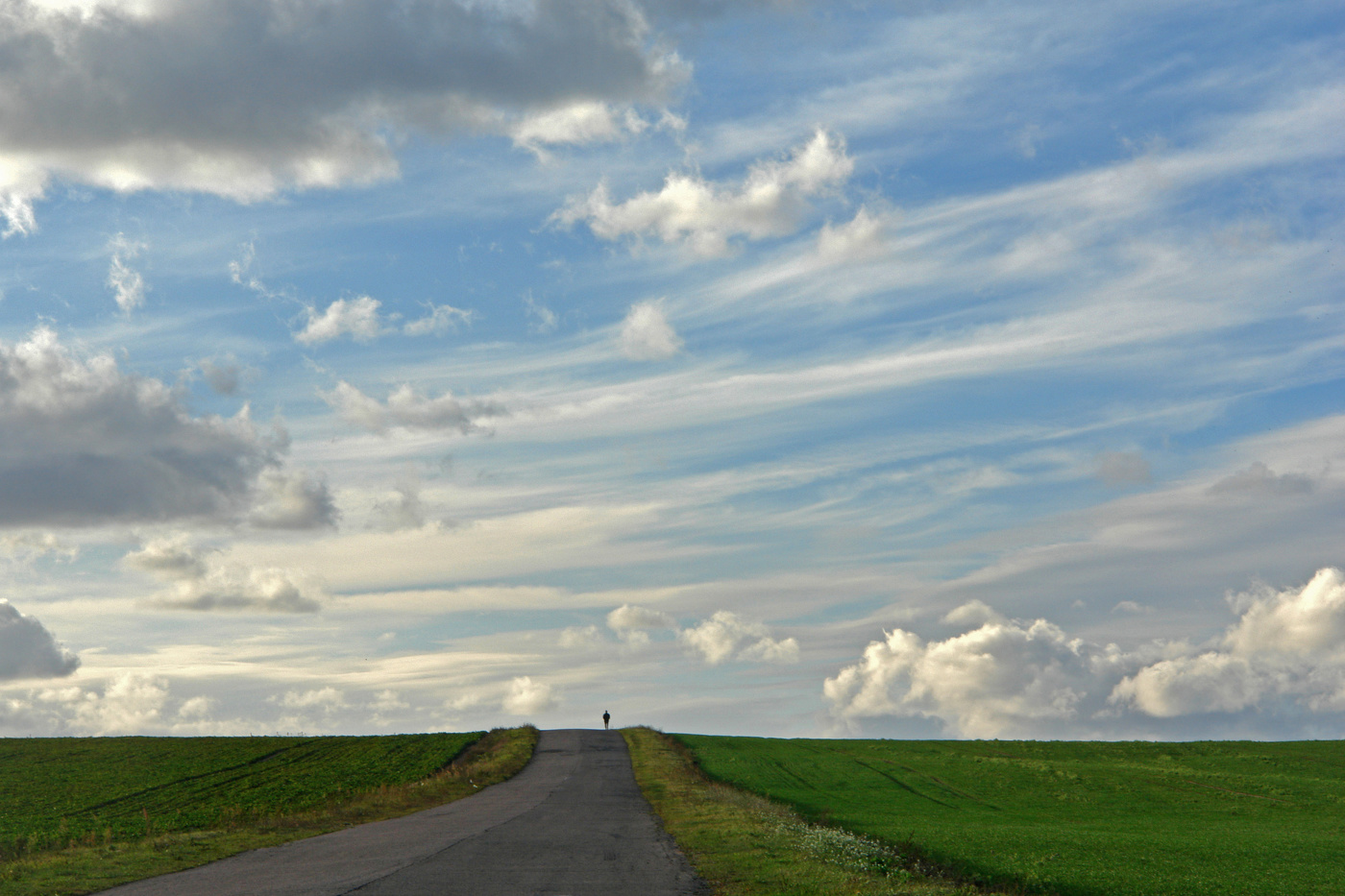 Die einsamen Reisenden