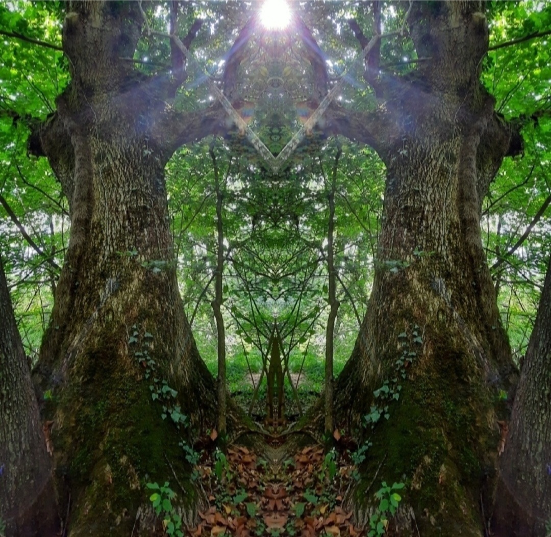 Magicul semn masonic