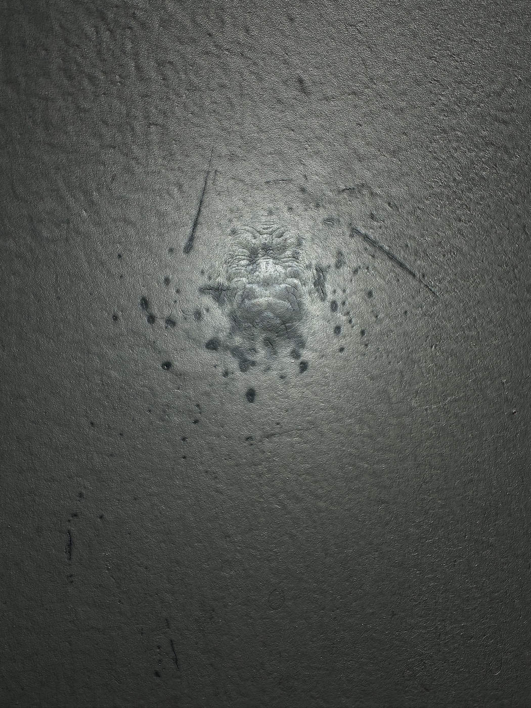 Don't look so contrite