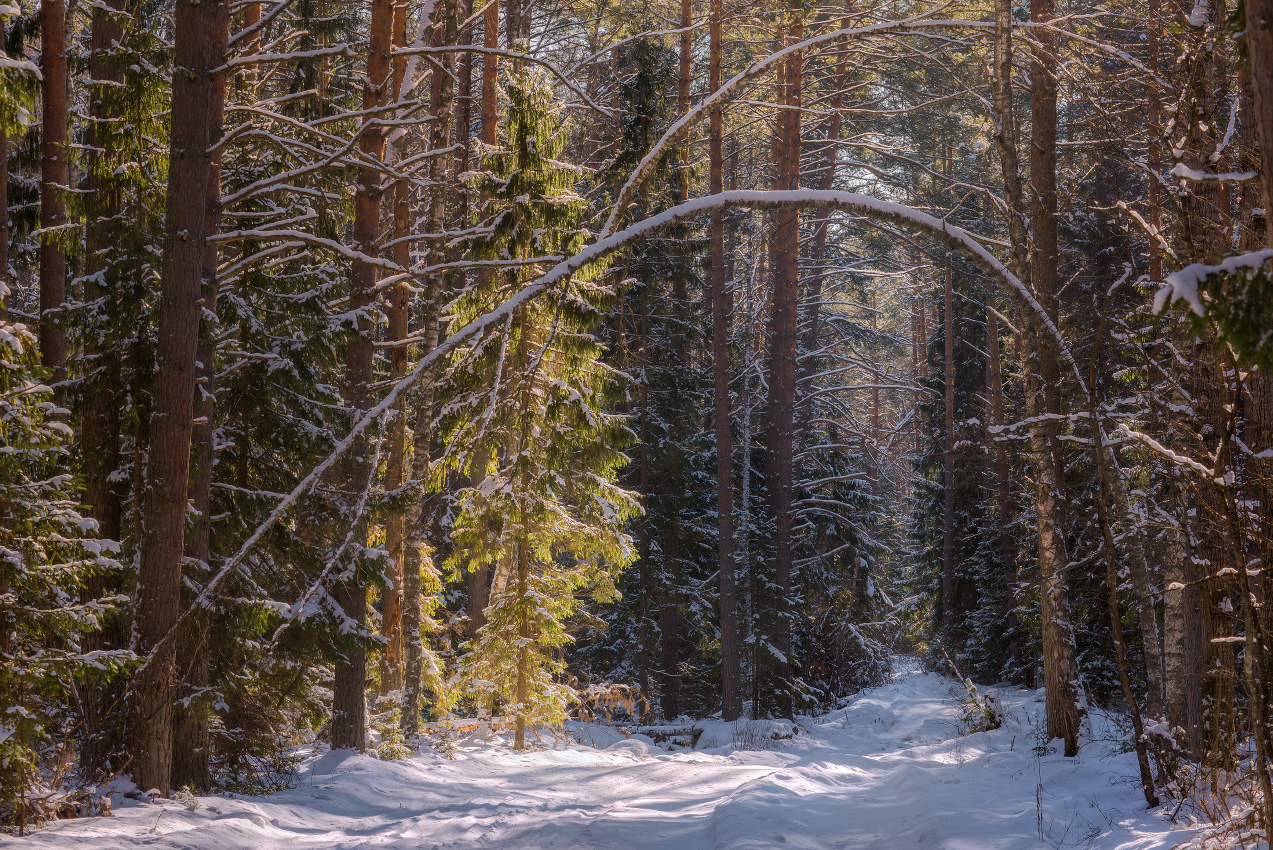 An einem sonnigen Tag