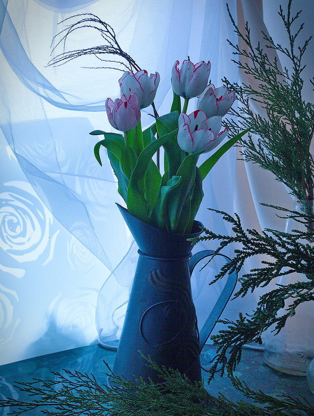 A Farewell to winter