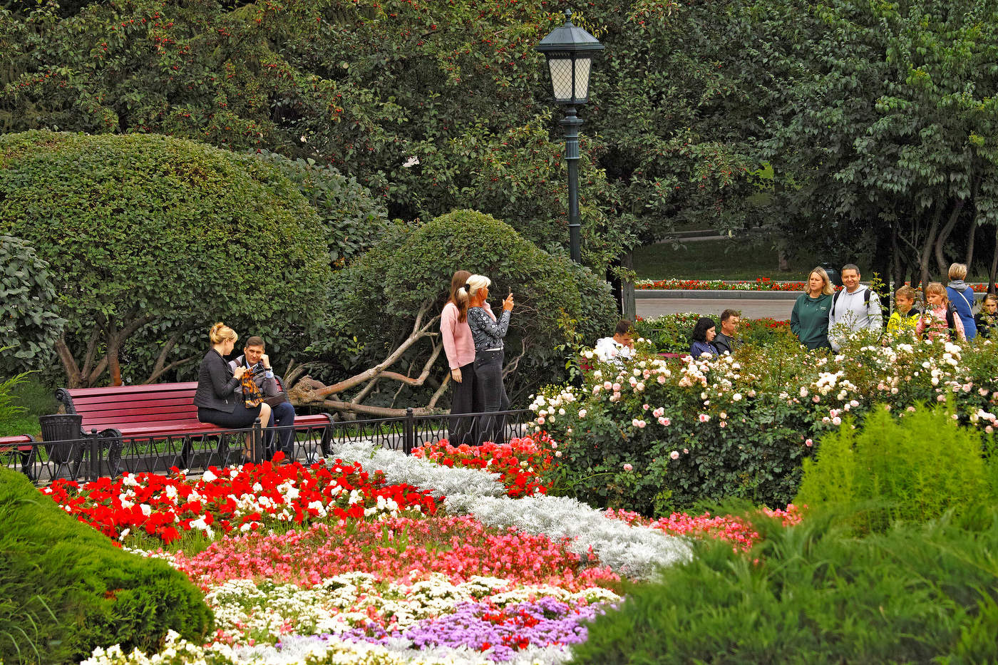 In Alexander's Garden