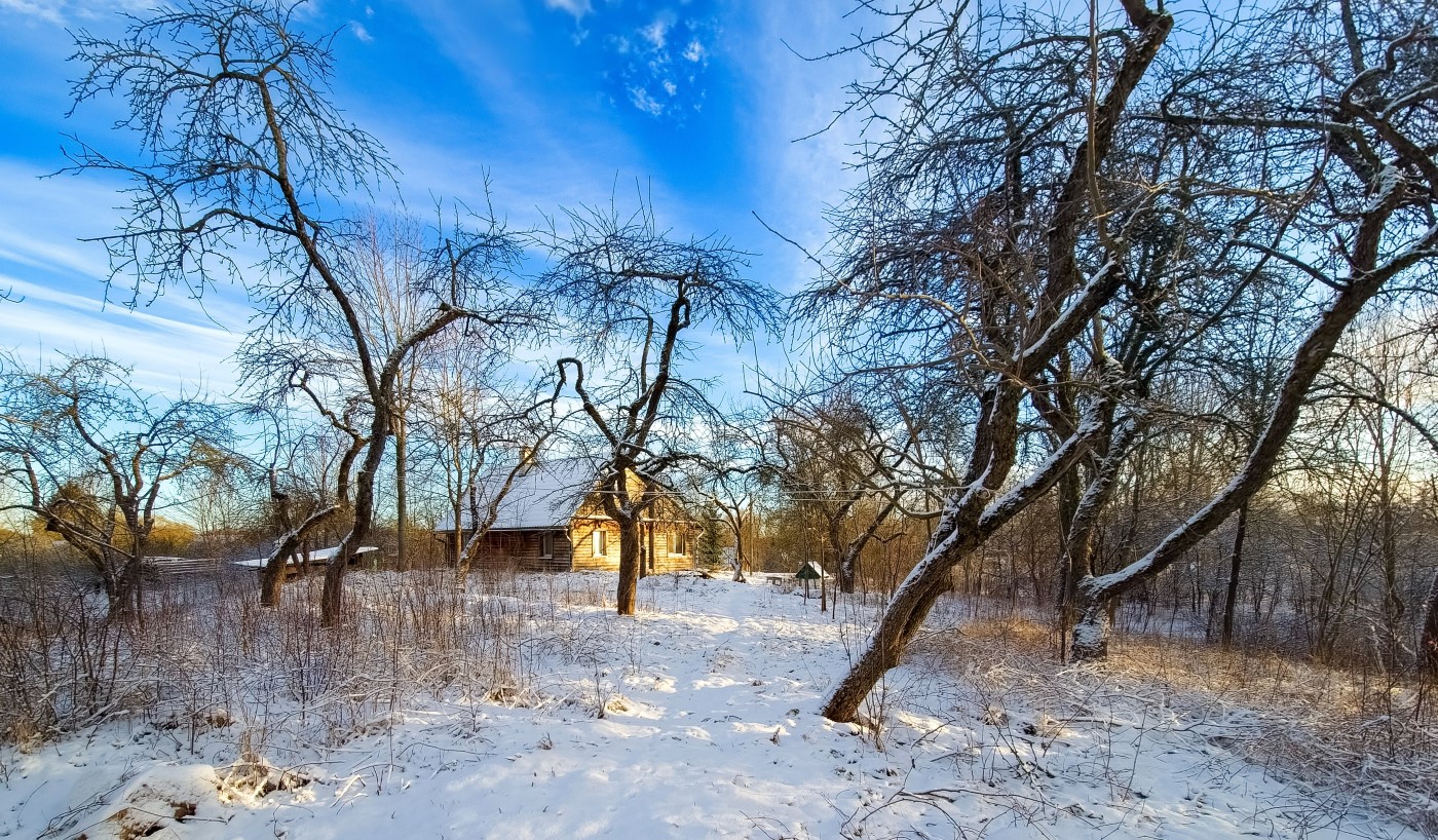 Der Winter ist zurück