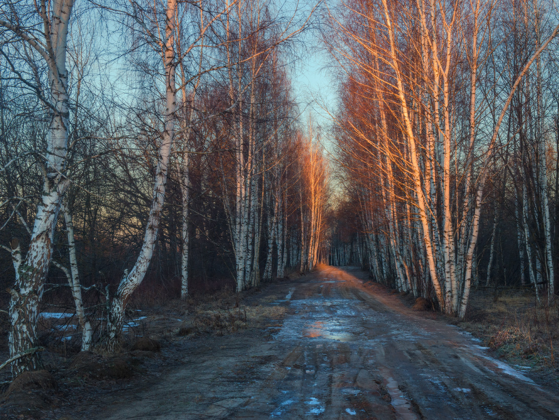 Mit den ersten Strahlen
