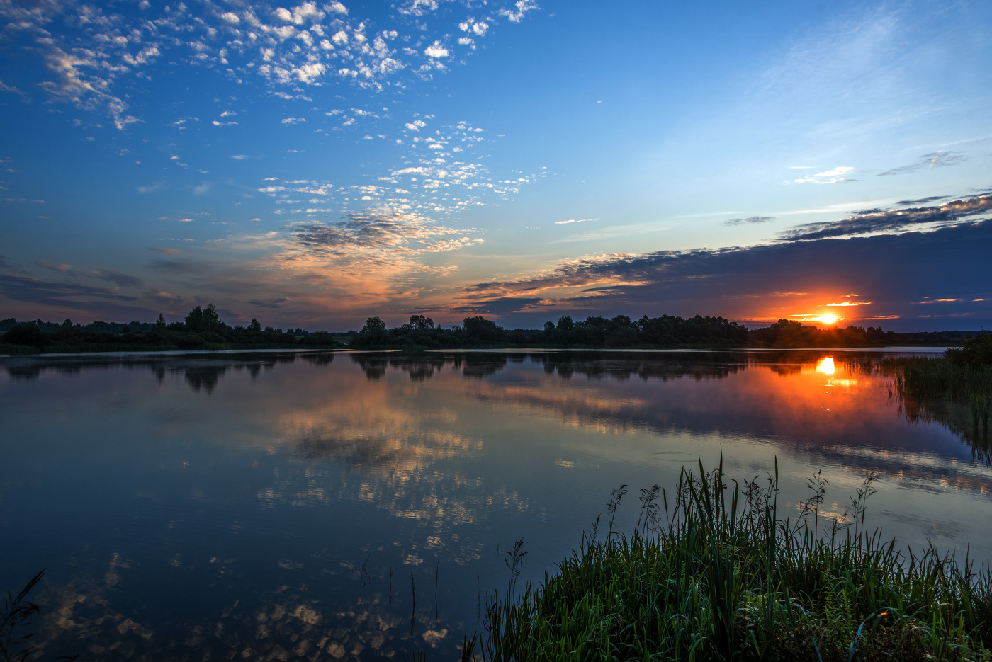 Sonnenaufgang im Wald