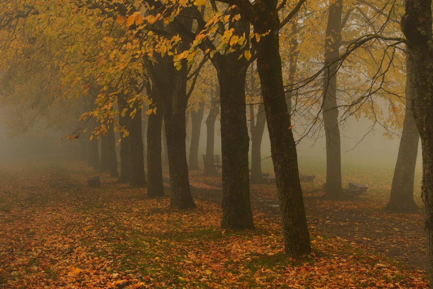 Sonnenaufgang über dem Fluss