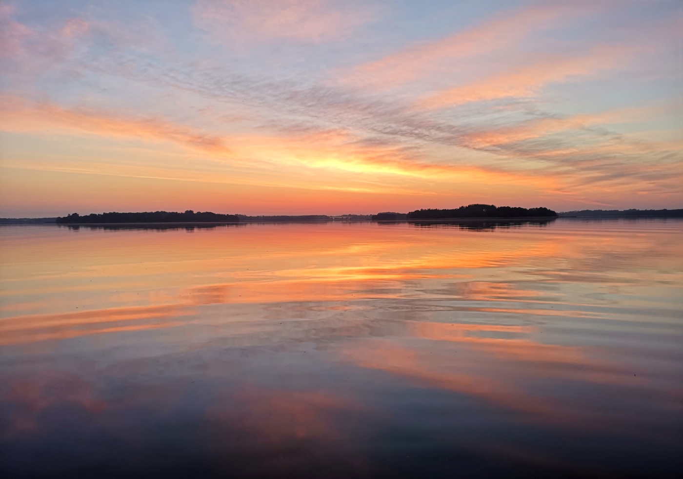 Sonnenaufgang im Wald