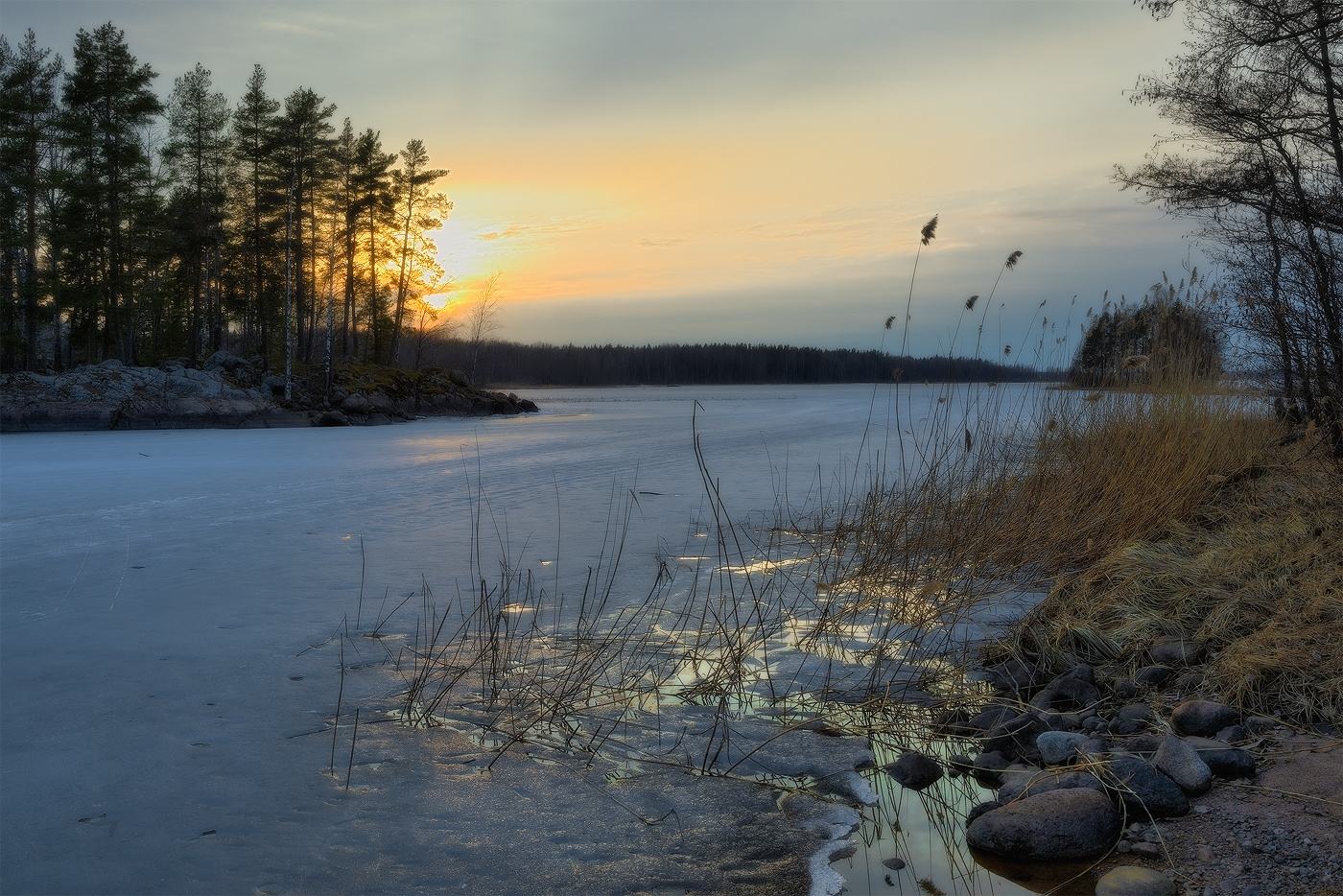 Premonition des Frühlings