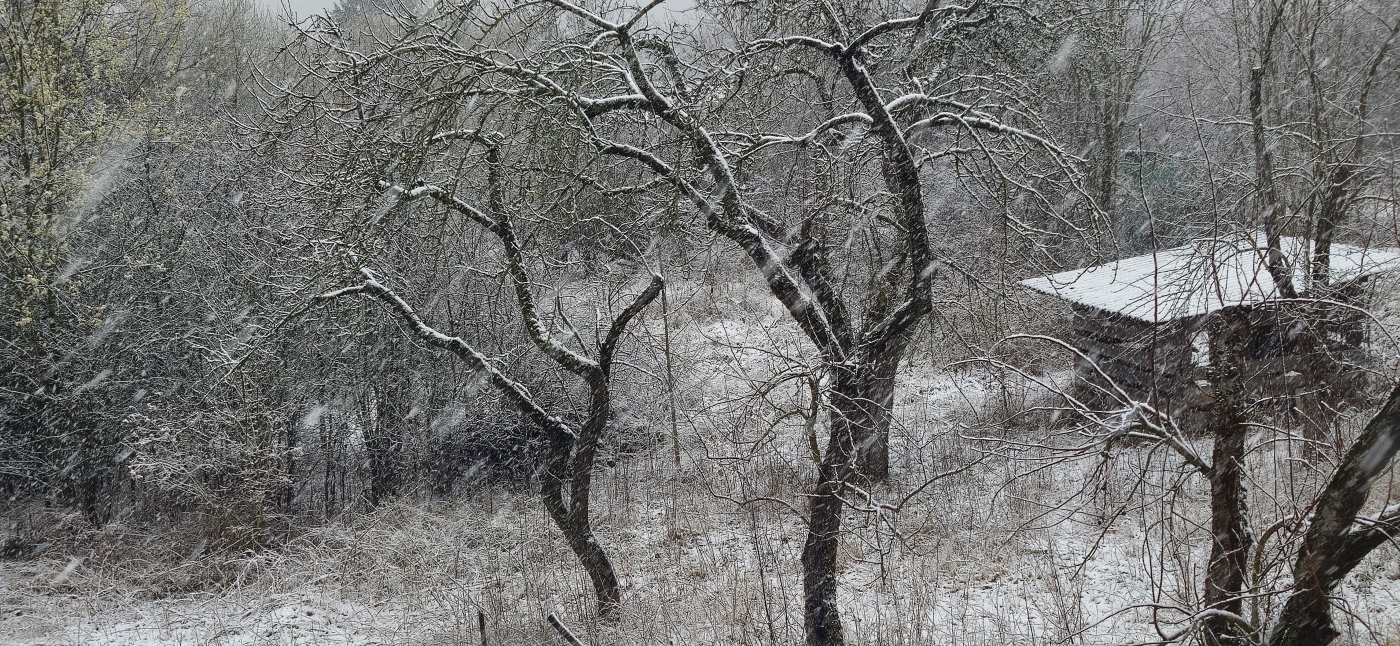 Der Winter ist zurück