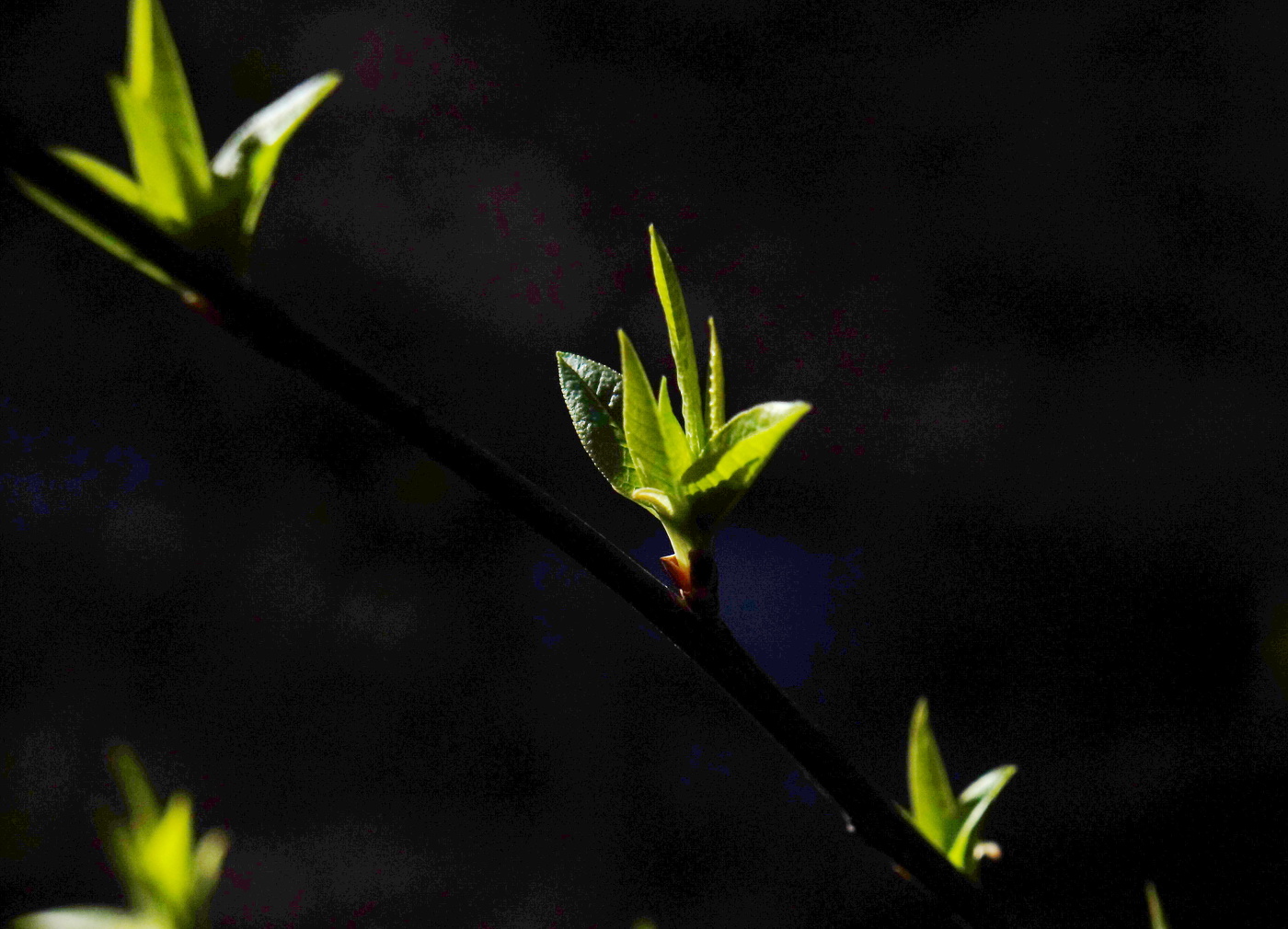 Licht und Dunkelheit