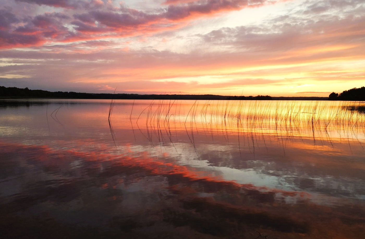 Am späten Nachmittag
