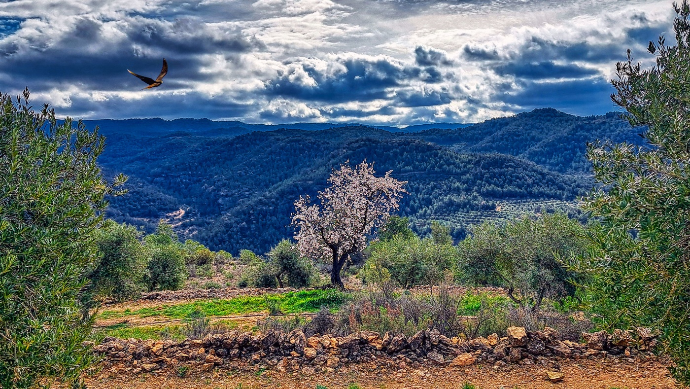La Bisbal de Montsant - Balcó de la Bisbal - Priorat