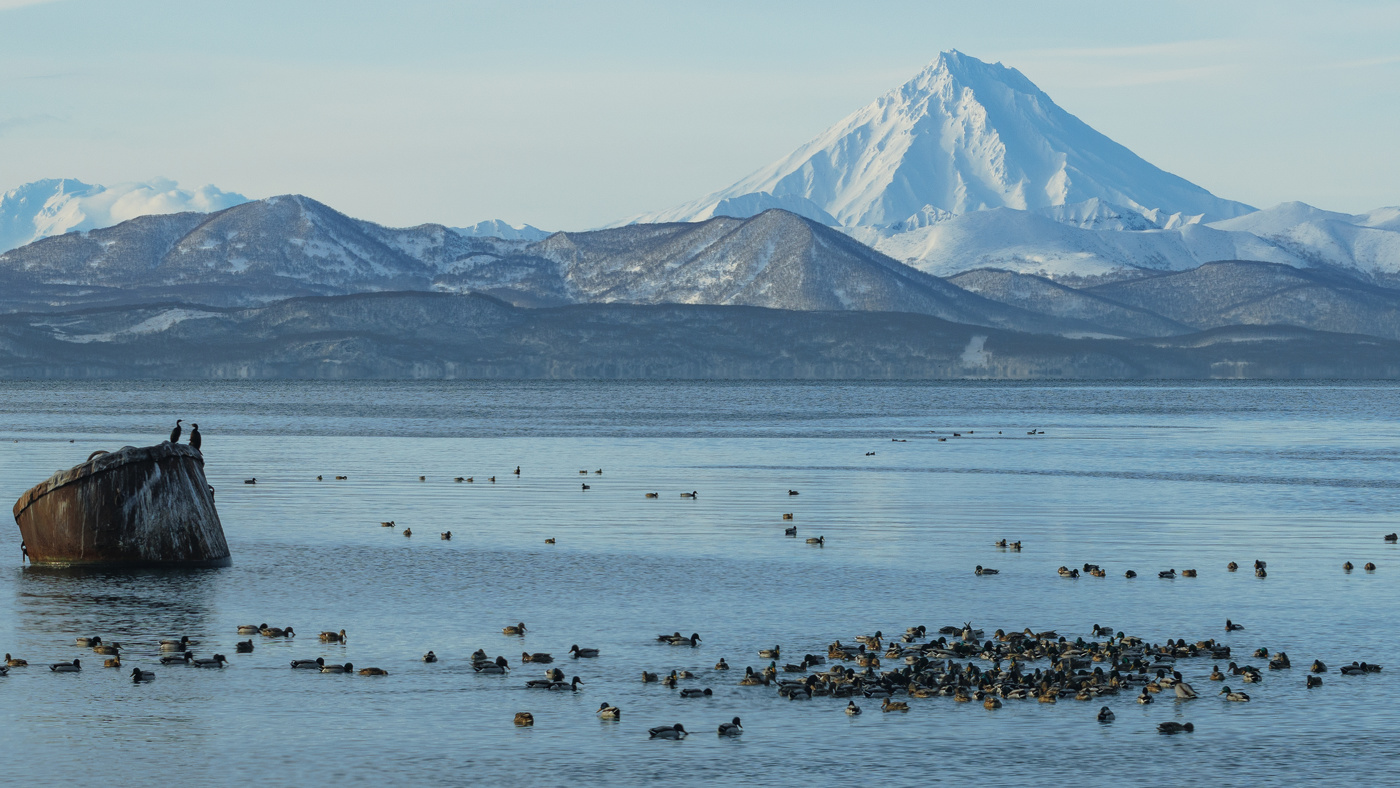 Vilyuchinsky Volcano