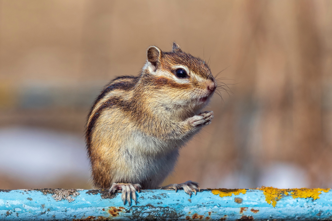 Ein zufälliges Treffen