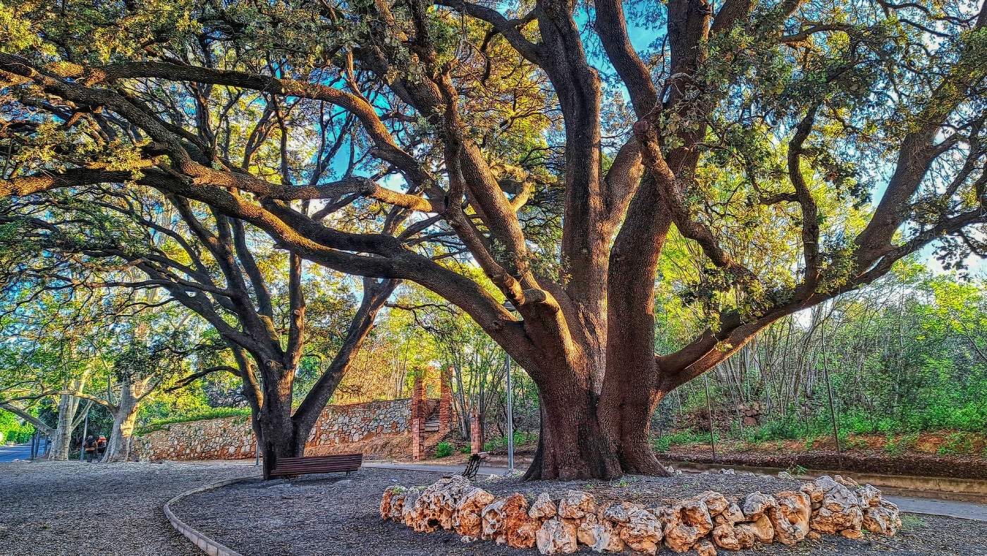 Botarell - Alzines - Baix Camp