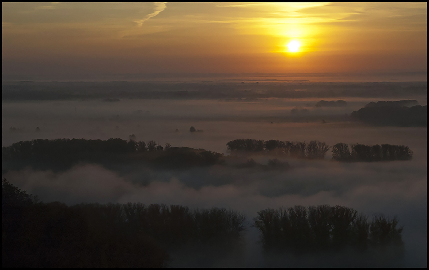 Sonnenaufgang im Wald