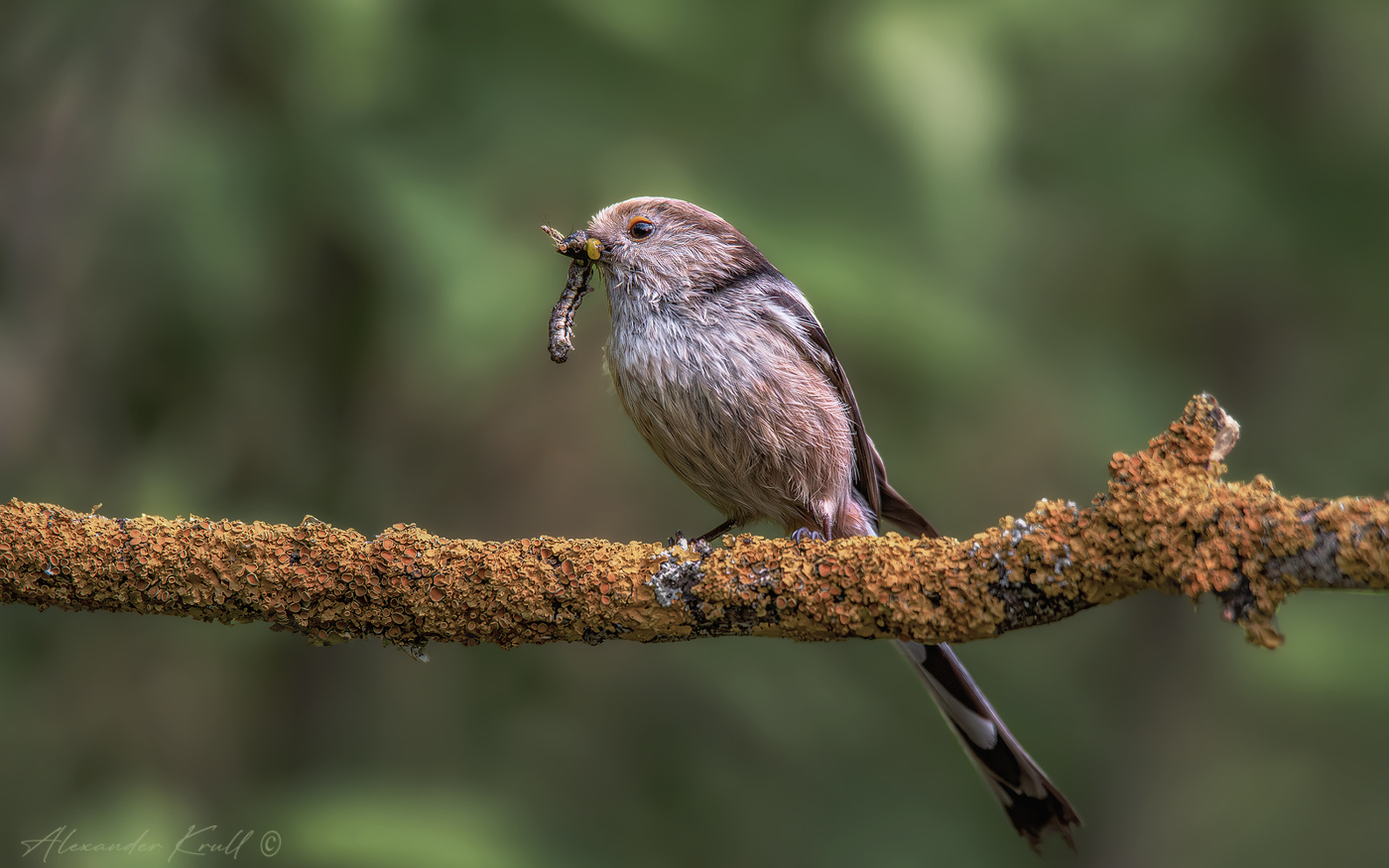 All the best - für Kinder!