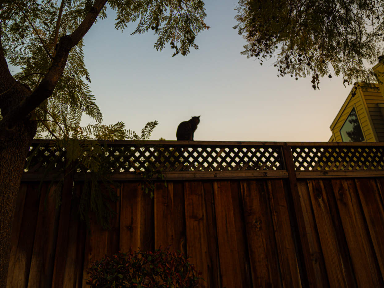 Hoch sitzen, schauen weg ...