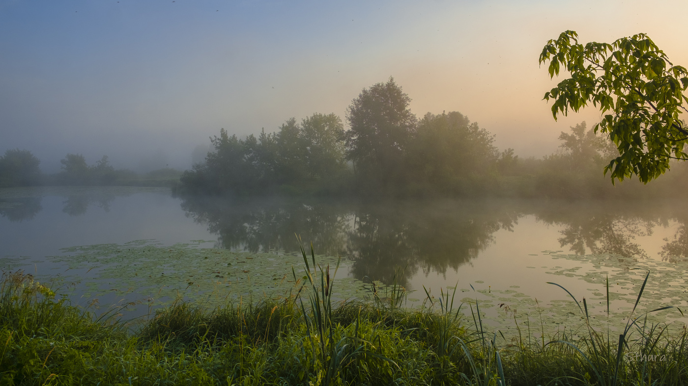 In der Morgendämmerung.