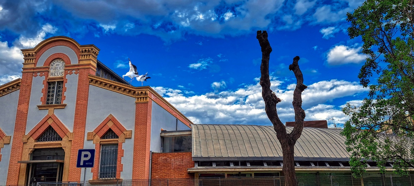 Reus - Biblioteca (antic matadero) - Baix Camp