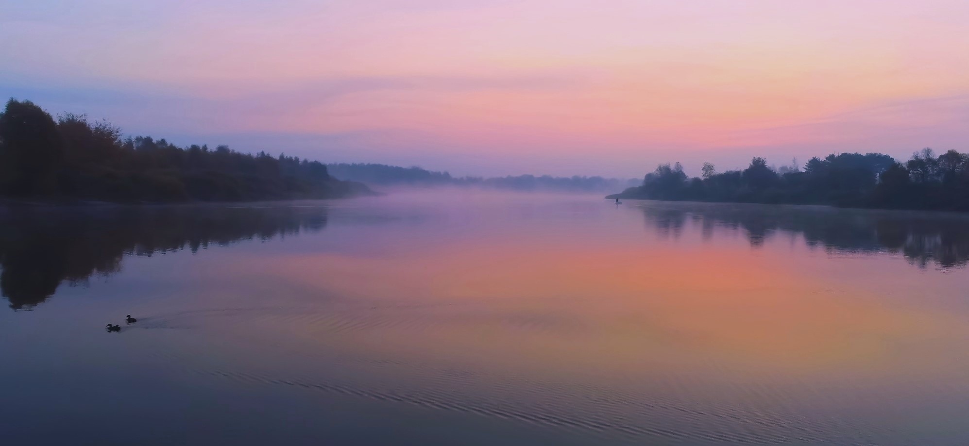 Sonnenaufgang im Wald