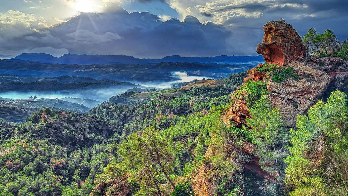 El Lloar - els Rogerals - Priorat
