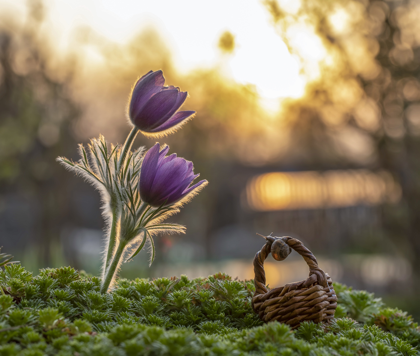 Bei Sonnenuntergang ...