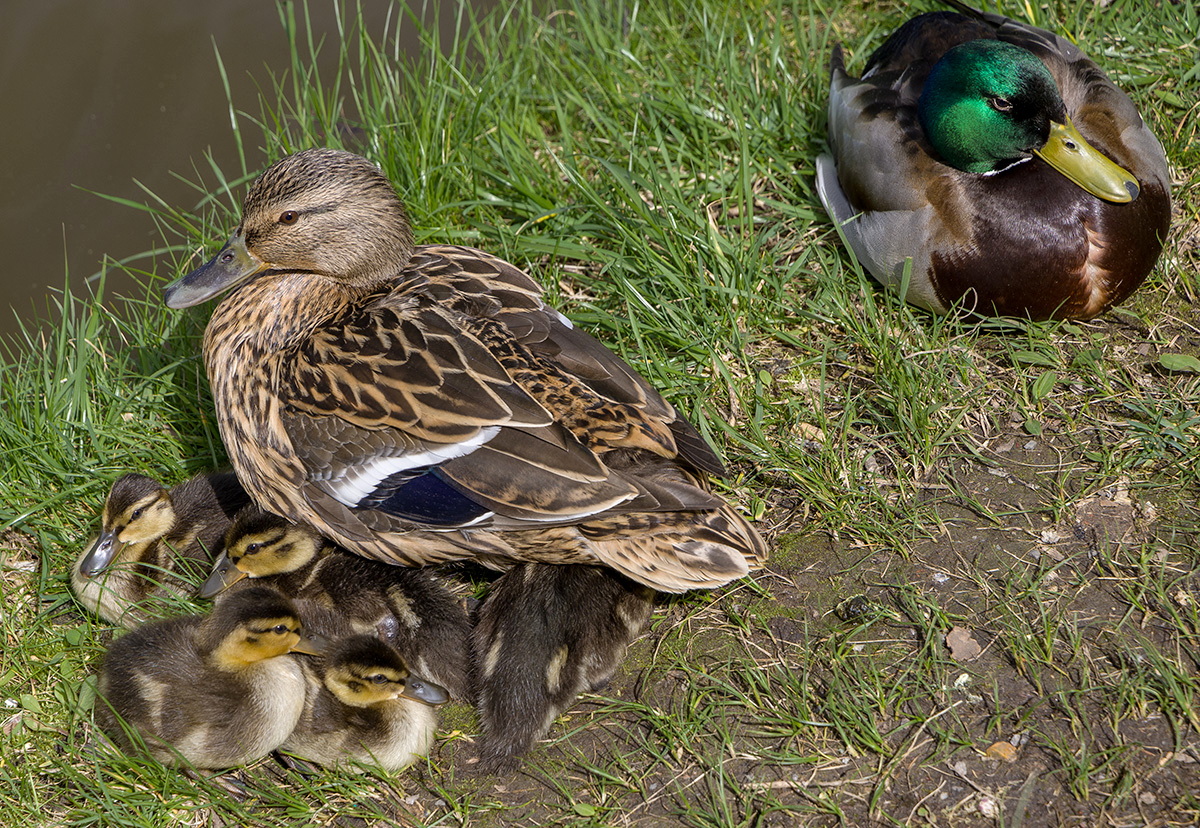 Das Leben geht weiter