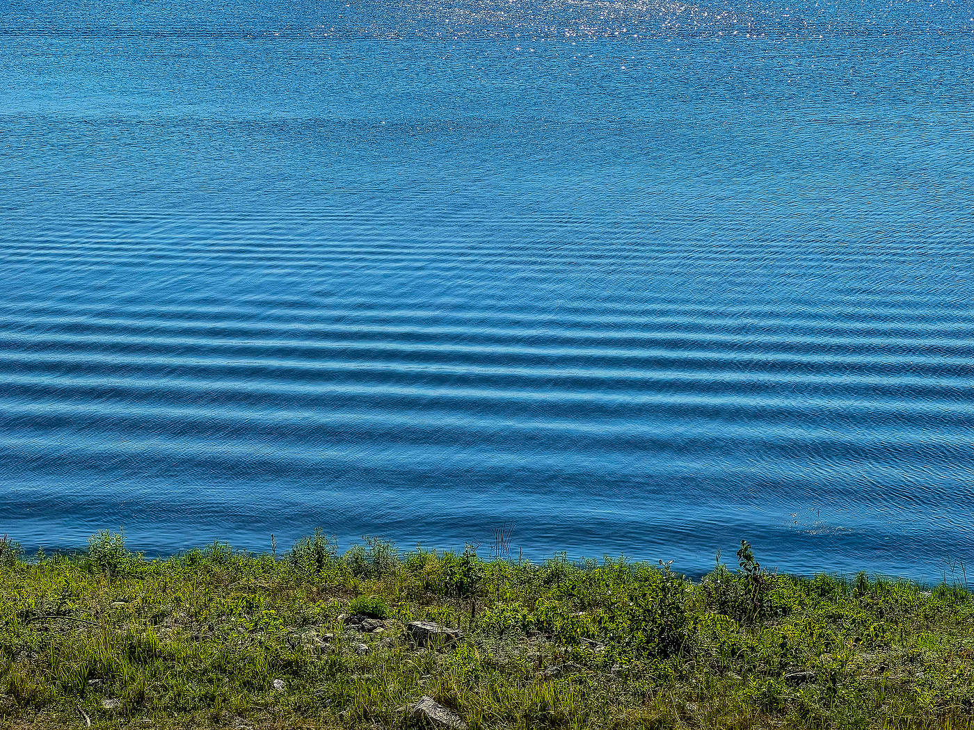 Die Wasseroberfläche