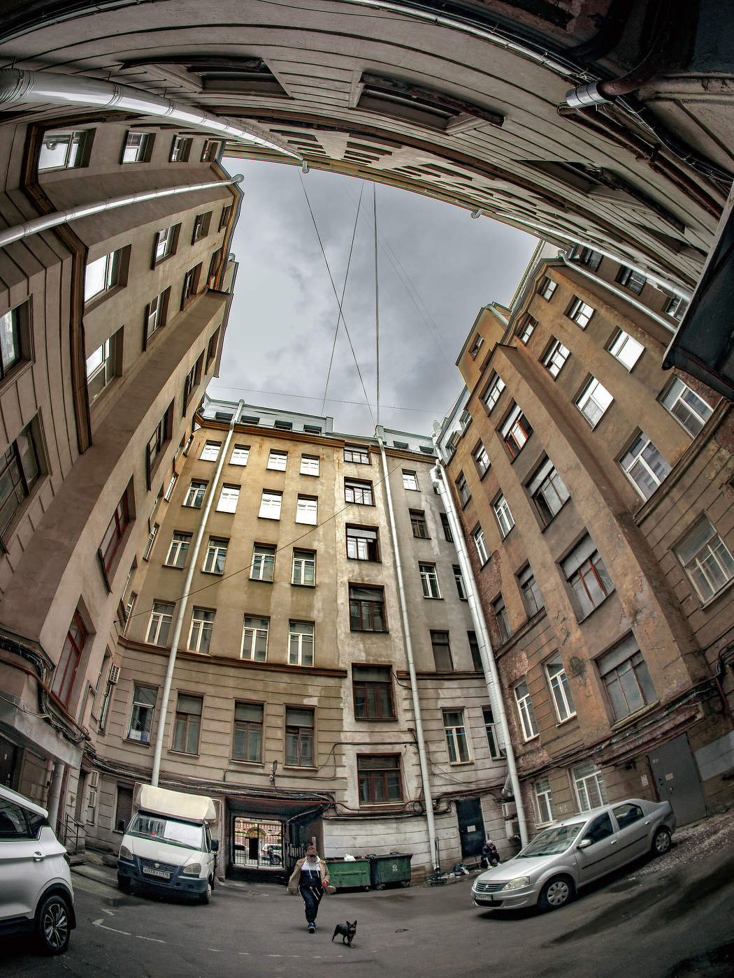 Dame mit dem Hündchen