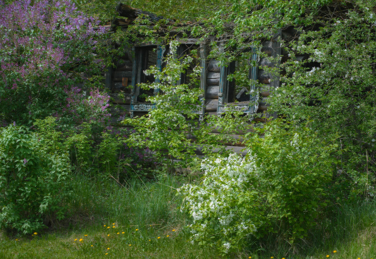 Das Leben geht weiter